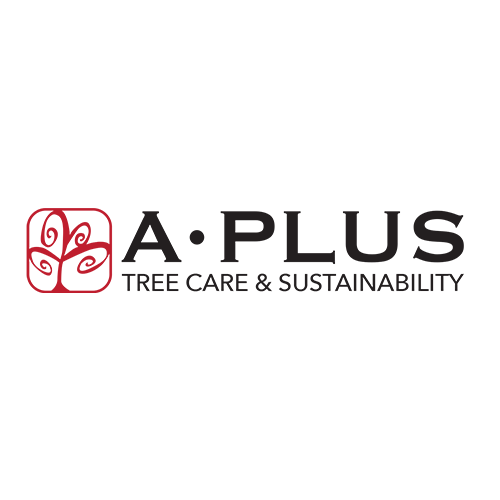 logo A Plus