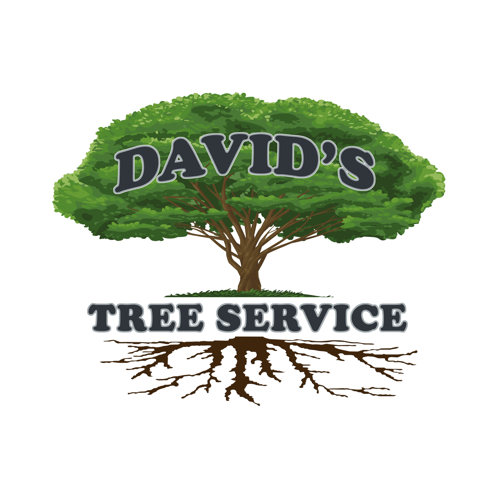 logo David's tree service