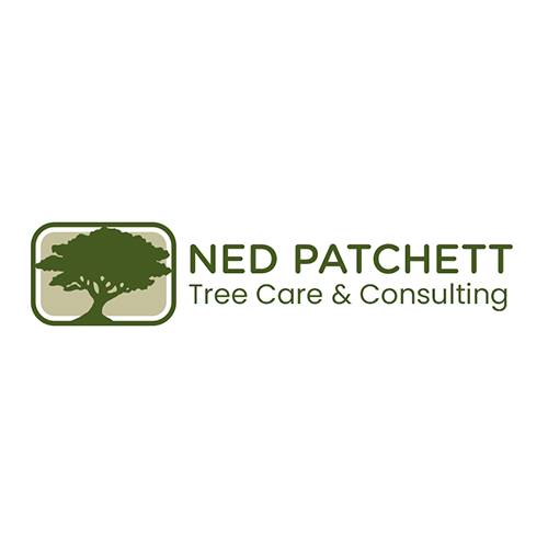 logo Net Patchett